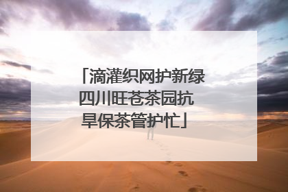 滴灌织网护新绿 四川旺苍茶园抗旱保茶管护忙