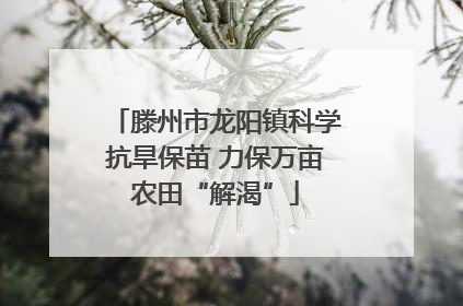滕州市龙阳镇科学抗旱保苗 力保万亩农田“解渴”