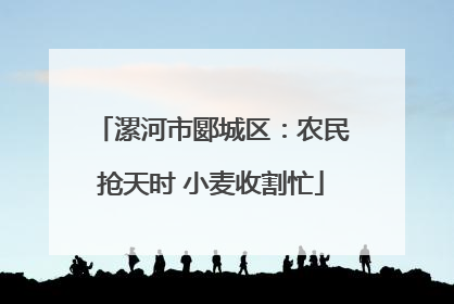 漯河市郾城区：农民抢天时 小麦收割忙