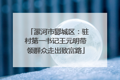 漯河市郾城区：驻村第一书记王元明带领群众走出致富路
