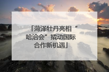 菏泽牡丹亮相“哈洽会”撬动国际合作新机遇