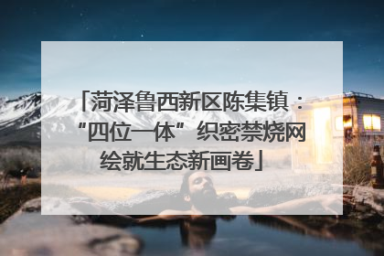 菏泽鲁西新区陈集镇：“四位一体”织密禁烧网 绘就生态新画卷