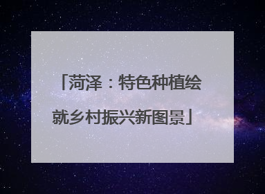 菏泽：特色种植绘就乡村振兴新图景