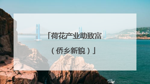 荷花产业助致富（侨乡新貌）