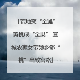 荒地变“金滩” 黄桃成“金果” 宜城农家女带领乡邻“桃”出致富路