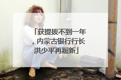 获提拔不到一年，内蒙古银行行长洪少平再履新