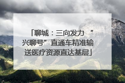 聊城：三向发力 “兴聊号”直通车精准输送医疗资源直达基层
