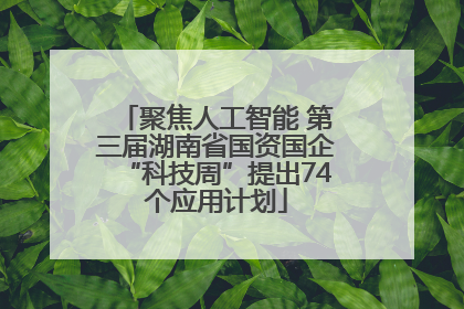 聚焦人工智能 第三届湖南省国资国企“科技周”提出74个应用计划