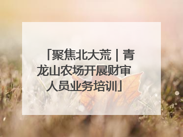 聚焦北大荒｜青龙山农场开展财审人员业务培训