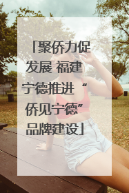 聚侨力促发展 福建宁德推进“侨见宁德”品牌建设