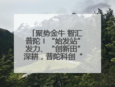 聚势金牛 智汇普陀〡“始发站”发力、“创新田”深耕，普陀科创“金牛”闪耀