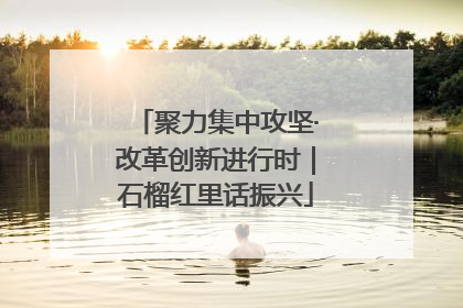 聚力集中攻坚·改革创新进行时｜石榴红里话振兴