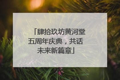 肆拾玖坊黄河堂五周年庆典，共话未来新篇章