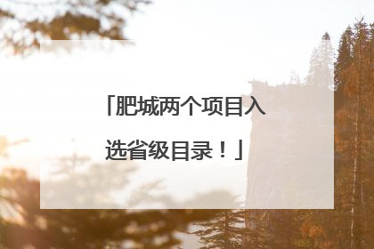 肥城两个项目入选省级目录！