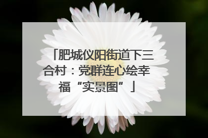 肥城仪阳街道下三合村：党群连心绘幸福“实景图”