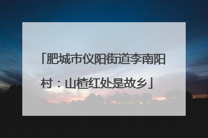 肥城市仪阳街道李南阳村：山楂红处是故乡