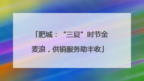 肥城：“三夏”时节金麦浪，供销服务助丰收