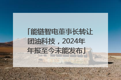 能链智电董事长转让团油科技，2024年年报至今未能发布