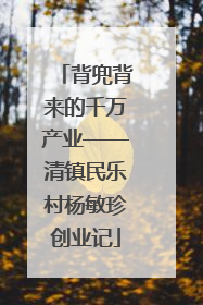 背兜背来的千万产业——清镇民乐村杨敏珍创业记