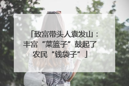 致富带头人袁发山：丰富“菜篮子”鼓起了农民“钱袋子”