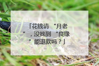 花钱请 “月老 ”，没找到 “良缘 ”能退款吗？
