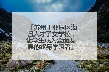 苏州工业园区海归人才子女学校：让学生成为全面发展的终身学习者
