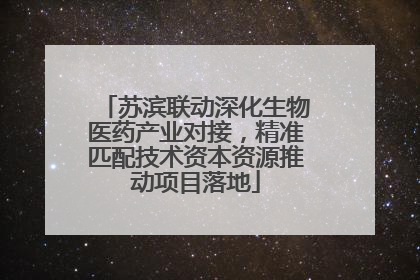 苏滨联动深化生物医药产业对接，精准匹配技术资本资源推动项目落地