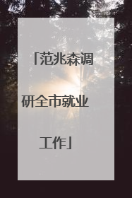 范兆森调研全市就业工作