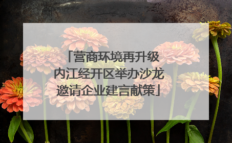 营商环境再升级 内江经开区举办沙龙邀请企业建言献策