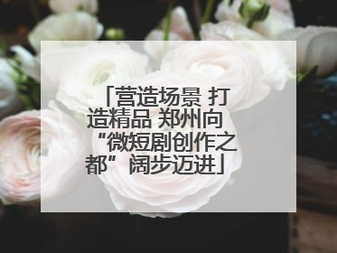 营造场景 打造精品 郑州向“微短剧创作之都”阔步迈进