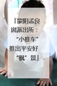 蒙阴孟良崮派出所：“小推车”推出平安好“枫”景