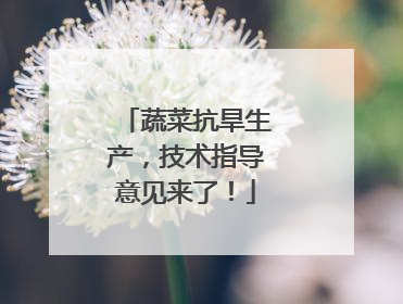 蔬菜抗旱生产，技术指导意见来了！
