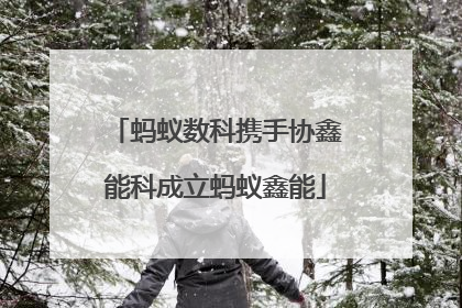 蚂蚁数科携手协鑫能科成立蚂蚁鑫能