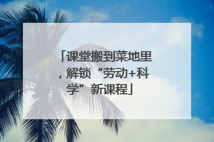 课堂搬到菜地里，解锁“劳动+科学”新课程