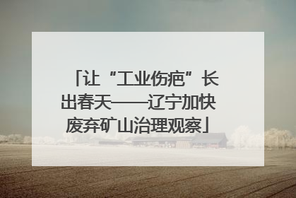 让“工业伤疤”长出春天——辽宁加快废弃矿山治理观察