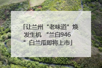 让兰州“老味道”焕发生机 “兰白946”白兰瓜即将上市