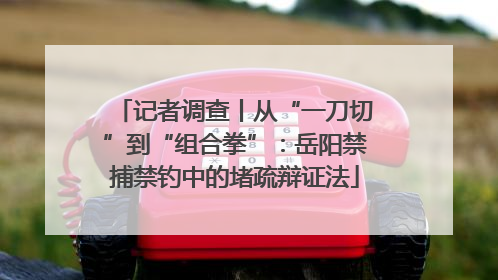 记者调查丨从“一刀切”到“组合拳”：岳阳禁捕禁钓中的堵疏辩证法