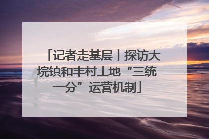 记者走基层丨探访大垸镇和丰村土地“三统一分”运营机制