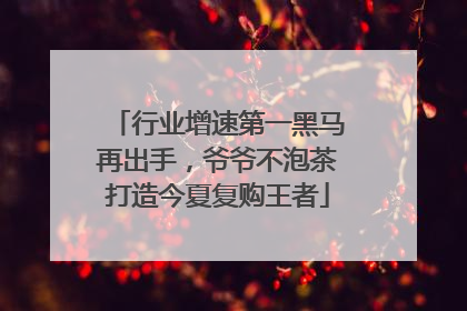 行业增速第一黑马再出手，爷爷不泡茶打造今夏复购王者