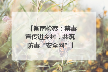 衡南检察：禁毒宣传进乡村，共筑防毒“安全网”