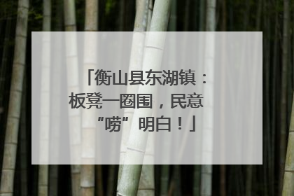 衡山县东湖镇：板凳一圈围，民意“唠”明白！