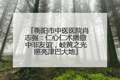 衡阳市中医医院肖志强：仁心仁术播撒中非友谊，岐黄之光照亮津巴大地