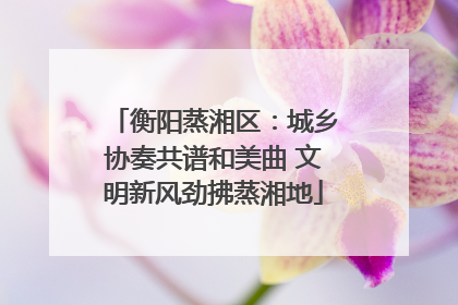 衡阳蒸湘区：城乡协奏共谱和美曲 文明新风劲拂蒸湘地