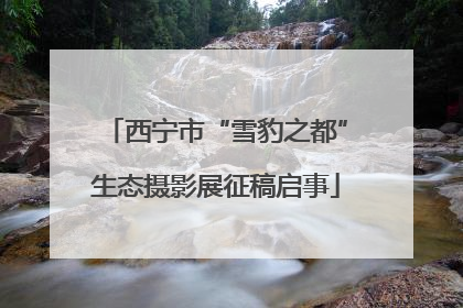 西宁市“雪豹之都”生态摄影展征稿启事