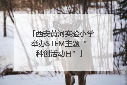 西安黄河实验小学举办STEM主题“科创活动日”