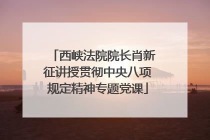 西峡法院院长肖新征讲授贯彻中央八项规定精神专题党课