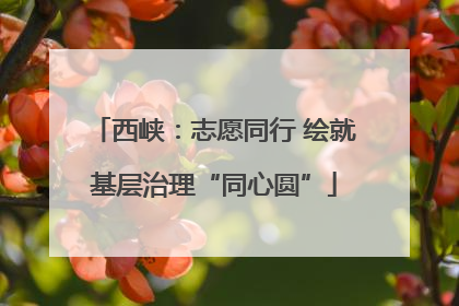西峡：志愿同行 绘就基层治理“同心圆”