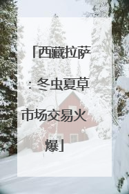 西藏拉萨：冬虫夏草市场交易火爆