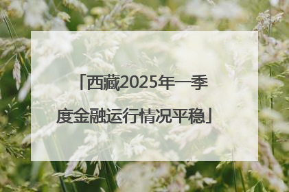 西藏2025年一季度金融运行情况平稳