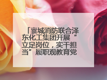 襄城消防联合泽东化工集团开展“立足岗位，实干担当”履职观教育党建联学活动